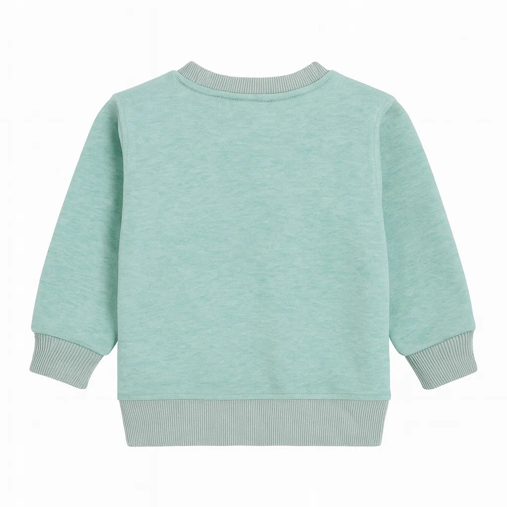 Pistachio Little But Mighty Sweatshirt